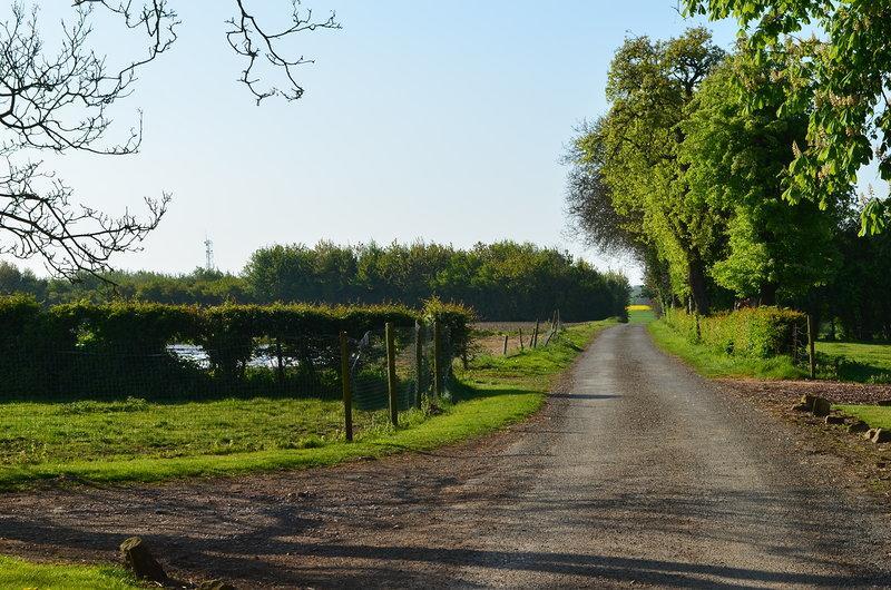 La Ferme Du Bois Quesnoy Bed & Breakfast Saint-Pol-sur-Ternoise Bagian luar foto